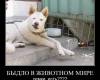 <b>Название: </b>1 (7), <b>Добавил:<b> Zelden<br>Размеры: 680x632, 156.0 Кб