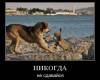 <b>Название: </b>1 (18), <b>Добавил:<b> Zelden<br>Размеры: 680x589, 164.8 Кб